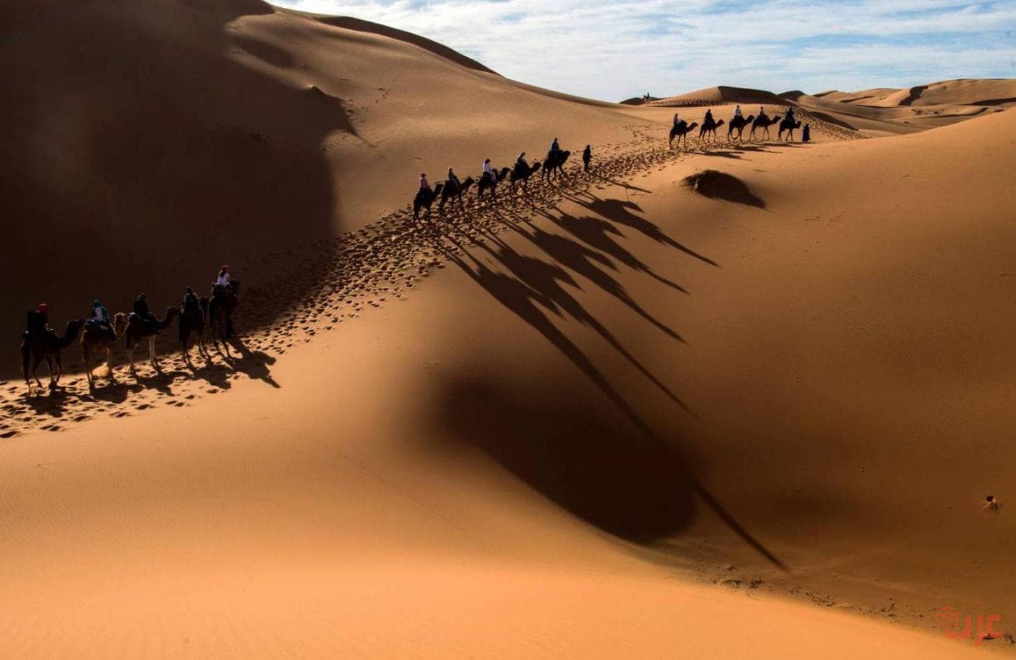 تفسير حلم الصحراء في المنام لكبار المفسرين