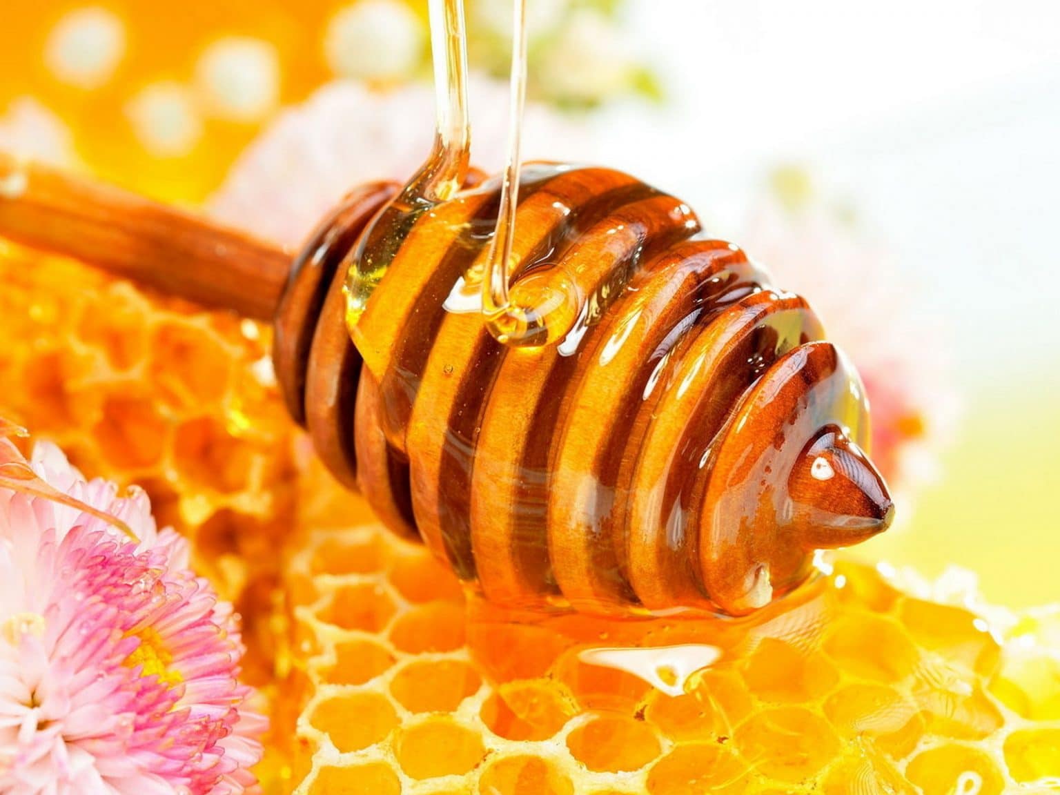 تفسير أكل العسل في المنام لابن سيرين