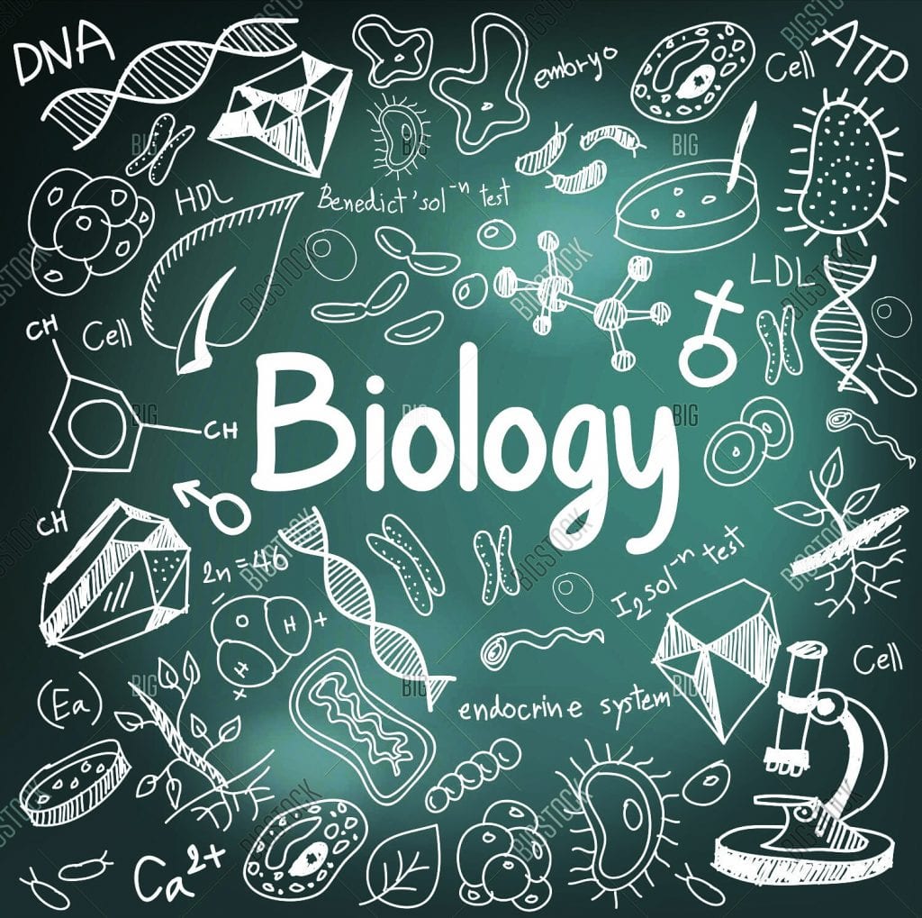 مجالات العمل في تخصص البيولوجيا وفروع تخصص البيولوجيا