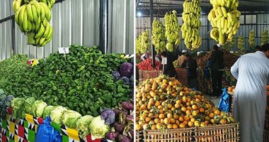 أسعار الفاكهة فى الأسواق اليوم السبت تواصل استقرارها