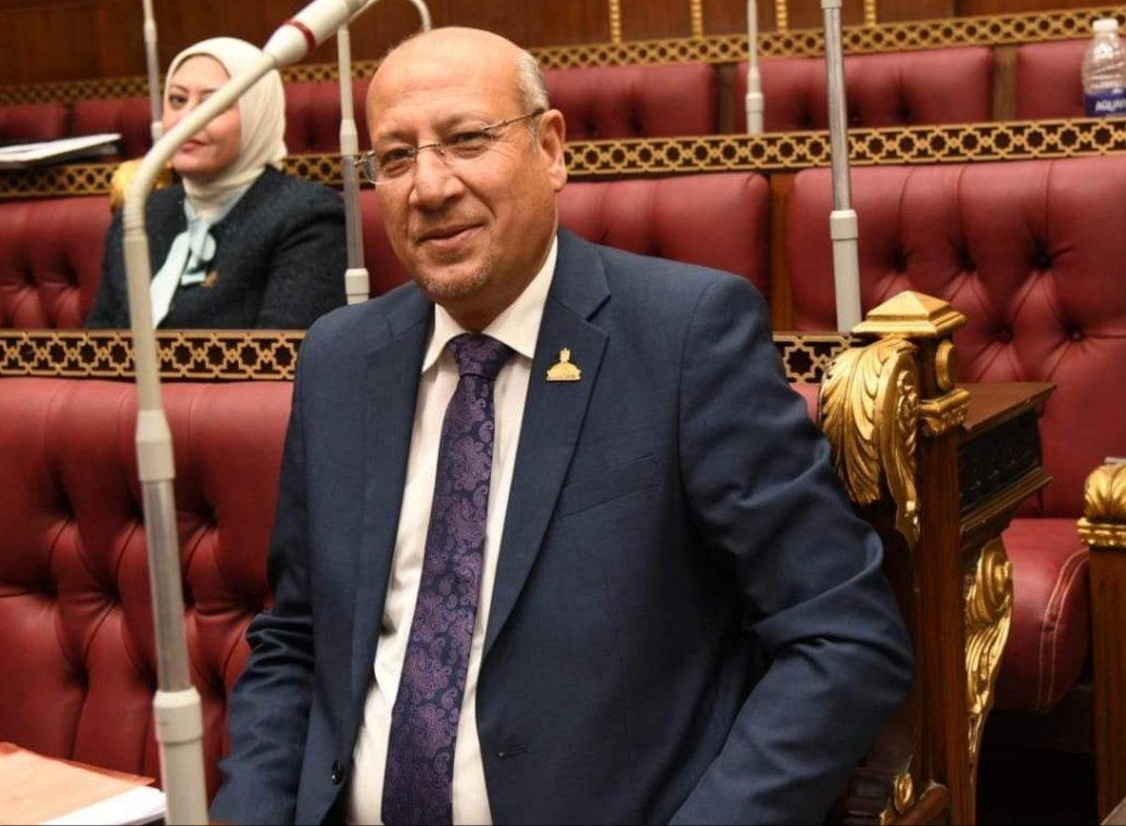 النائب عمرو عكاشة يطالب الحكومة بسرعة تنفيذ قرارات المجلس الأعلى للاستثمار