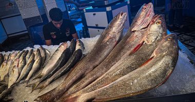 أسعار الأسماك اليوم في مصر والبوري يسجل 60 جنيها