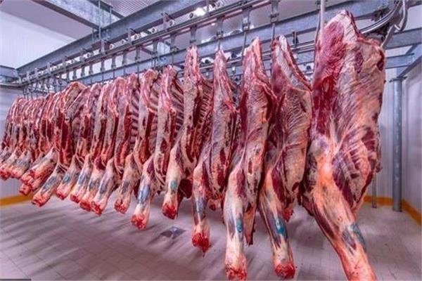السر في التربية.. بيان عاجل من رئيس «الخدمات البيطرية» حول أسعار اللحوم