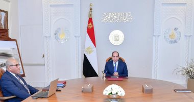 الرئيس السيسى يطلع على استراتيجية تطوير "العربية للتصنيع".. إنفوجراف