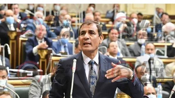 رئيس برلمانية الوفد: فلسطين ستتحرر كما تحررت ليبيا والجزائر ومصر