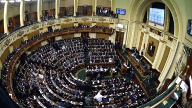 برلماني: إجراء الانتخابات الرئاسية تحت إشراف قضائي كامل يضمن سلامة العملية الانتخابية ونزاهتها