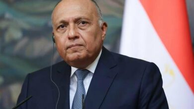 سامح شكري: مصر تتطلع لتعزيز السلم والاستقرار بمحيطها الإقليمي والدولي