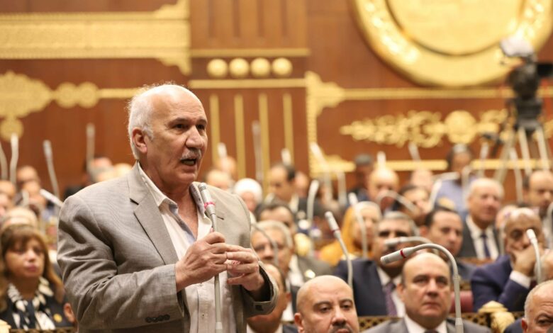 «برلمانية التجمع»: فلسطين هي القضية الوطنية التي يتوحد حولها الشعب المصري