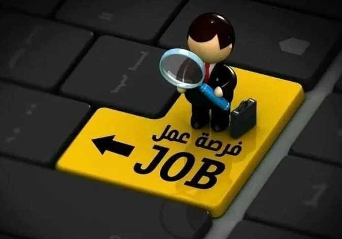 براتب 7000 جنيه.. وزارة الشباب تعلن عن وظائف في عدد من التخصصات