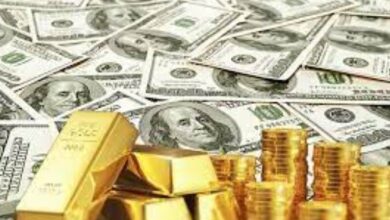 سعر الذهب والدولار اليوم الثلاثاء 14 نوفمبر 2023.. استقرار «الأخضر» وارتفاع «الأصفر»
