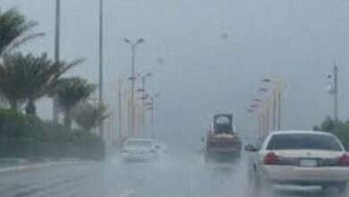 أمطار غزيرة وشبورة.. الأرصاد تحذر المواطنين من طقس الأسبوع المقبل